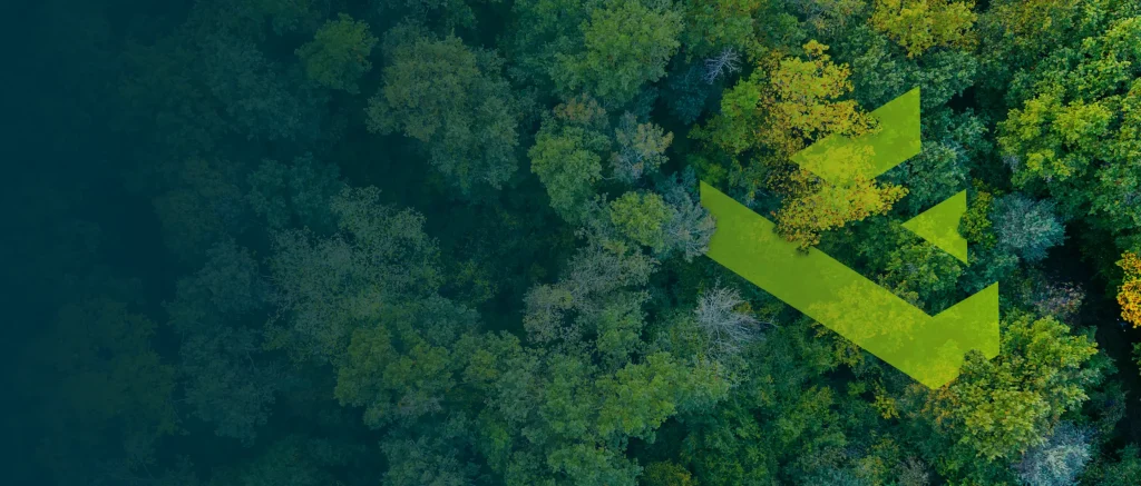 Vista aérea de un denso bosque con una mezcla de follaje verde y amarillo. Dos grandes flechas verdes se superponen a la imagen, apuntando hacia la esquina superior derecha, mezclándose perfectamente con el entorno natural.